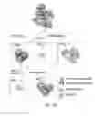 Fig. 04 - Compositions and Methods for Enhancing Bioenergetic Status in Female Germ Cells