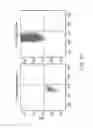 Fig. 15 - Compositions and Methods for Enhancing Bioenergetic Status in Female Germ Cells
