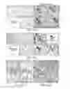 Fig. 25 - Compositions and Methods for Enhancing Bioenergetic Status in Female Germ Cells