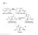 Fig. 02 - Cytochrome P450s and uses thereof