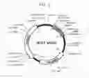 Fig. 03 - Genetically engineered and stress resistant yeast cell with enhanced MSN2 activity and method of producing lactate using the same