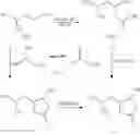 Fig. 07 - Process and Intermediates for the Preparation of Pregabalin