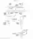 Fig. 07 - Methods for amplification of nucleic acids utilizing a circularized template prepared from a target nucleic acid