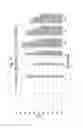Fig. 28 - DNA POLYMERASES AND RELATED METHODS