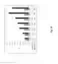 Fig. 32 - DNA POLYMERASES AND RELATED METHODS