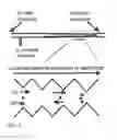 Fig. 02 - Bacterial identification