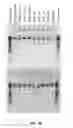 Fig. 41 - Compositions and methods of nucleic acid-targeting nucleic acids