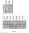 Fig. 56 - Compositions and methods of nucleic acid-targeting nucleic acids