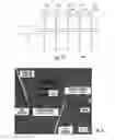 Fig. 11 - Nanofluidic devices for the rapid mapping of whole genomes and related systems and methods of analysis
