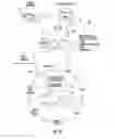 Fig. 14 - Nanofluidic devices for the rapid mapping of whole genomes and related systems and methods of analysis