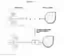 Fig. 09 - Raman cluster tagged molecules for biological imaging