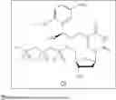 Fig. 06 - PHOTOCLEAVABLE DEOXYNUCLEOTIDES WITH HIGH-RESOLUTION CONTROL OF DEPROTECTION KINETICS