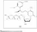 Fig. 07 - PHOTOCLEAVABLE DEOXYNUCLEOTIDES WITH HIGH-RESOLUTION CONTROL OF DEPROTECTION KINETICS