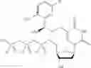 Fig. 10 - PHOTOCLEAVABLE DEOXYNUCLEOTIDES WITH HIGH-RESOLUTION CONTROL OF DEPROTECTION KINETICS