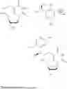 Fig. 15 - PHOTOCLEAVABLE DEOXYNUCLEOTIDES WITH HIGH-RESOLUTION CONTROL OF DEPROTECTION KINETICS