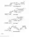 Fig. 05 - DNA sequencing with non-fluorescent nucleotide reversible terminators and cleavable label modified nucleotide terminators