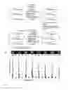 Fig. 09 - DNA sequencing with non-fluorescent nucleotide reversible terminators and cleavable label modified nucleotide terminators