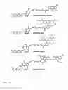 Fig. 12 - DNA sequencing with non-fluorescent nucleotide reversible terminators and cleavable label modified nucleotide terminators