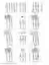 Fig. 15 - DNA sequencing with non-fluorescent nucleotide reversible terminators and cleavable label modified nucleotide terminators