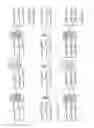 Fig. 16 - DNA sequencing with non-fluorescent nucleotide reversible terminators and cleavable label modified nucleotide terminators