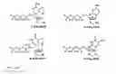 Fig. 19 - DNA sequencing with non-fluorescent nucleotide reversible terminators and cleavable label modified nucleotide terminators