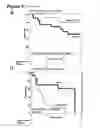 Fig. 09 - Prognostic and Predictive Gene Signature for Non-Small Cell Lung Cancer and Adjuvant Chemotherapy