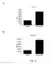 Fig. 07 - COINCIDENCE REPORTER GENE SYSTEM