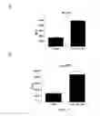 Fig. 08 - COINCIDENCE REPORTER GENE SYSTEM