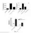 Fig. 12 - COINCIDENCE REPORTER GENE SYSTEM