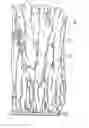 Fig. 01 - METHOD FOR THE MANUFACTURE OF A COATING HAVING A COLUMNAR STRUCTURE