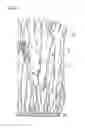 Fig. 02 - METHOD FOR THE MANUFACTURE OF A COATING HAVING A COLUMNAR STRUCTURE