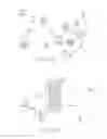 Fig. 26 - ELECTROCHEMICAL ACTIVATION OF WATER