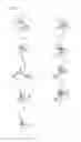 Fig. 04 - Seam structure for fabric