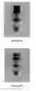 Fig. 27 - Break-away coupling for highway or roadside appurtenances with enhanced fatigue properties