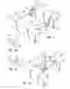 Fig. 04 - Wall with decorative facing
