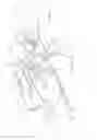 Fig. 07 - Method for an emergency opening of a door locking device of a laundry washing and/or drying appliance
