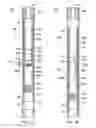Fig. 08 - Revolving ball seat for hydraulically actuating tools