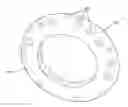 Fig. 01 - End ring degradation pick support