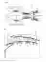 Fig. 02 - Axial turbomachine compressor blade with branches at the base and at the head of the blade
