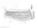 Fig. 05 - Fan blade damping device