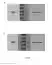 Fig. 15 - Recession resistant ceramic matrix composites and environmental barrier coatings