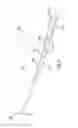 Fig. 03 - Winglet for a wind turbine rotor blade