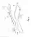 Fig. 07 - Stirling engine for an emission-free aircraft