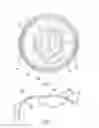 Fig. 05 - Valve for a diaphragm pump
