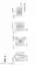 Fig. 04 - Electromagnetic clutch and manufacturing method thereof