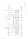 Fig. 11 - VEHICLE TRANSMISSION