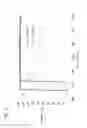 Fig. 06 - Projection-type image display apparatus