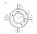 Fig. 05 - Combustion burner, burner apparatus, and raw material powder-heating method