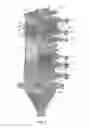 Fig. 03 - Heat exchanger for cooling bulk solids