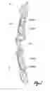 Fig. 06 - IMPROVED BOW BODY AND BOW THEREOF
